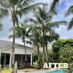 Picture Perfect Tree Services