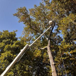 Frady Tree Care