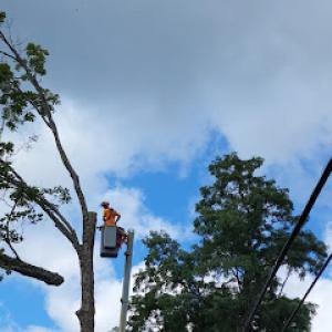 Defined Property Solutions