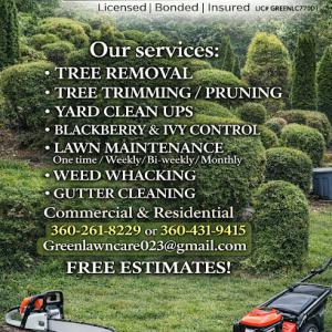 Green Lawn Care