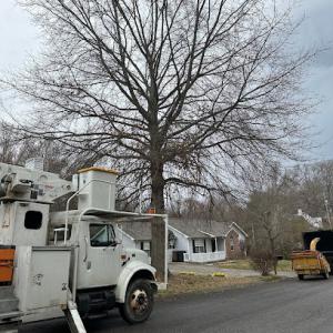 Kitts Tree Service