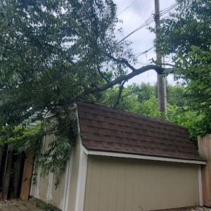 American Top Tree LLP