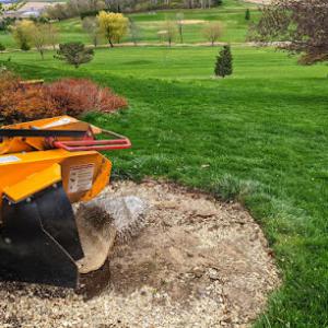 Wisco Stump Grinding