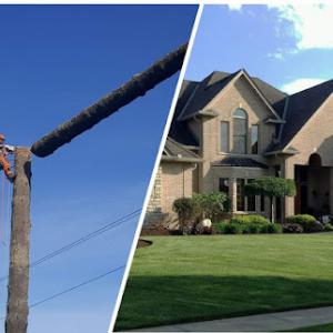 Capital City Landscape & Tree Service