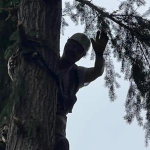 Fisherrmann's tree & Handyman services