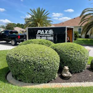 PAX Premium Lawn Care & Tree Service