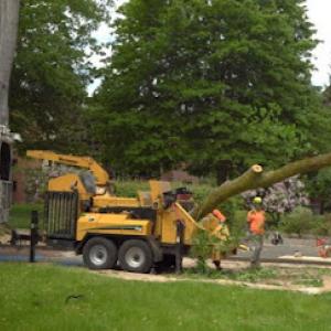 Fullerton Tree Service