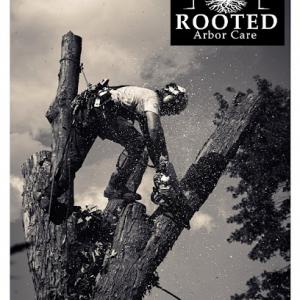 Rooted Arbor Care