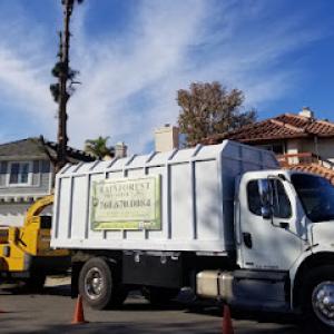 Rainforest Tree Service