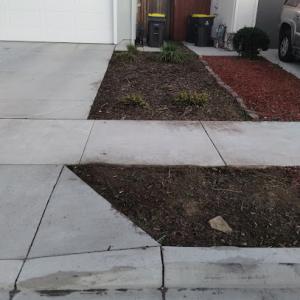 Silver Bear Landscaping