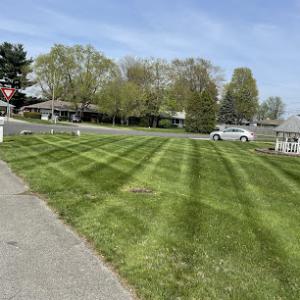 Devons Lawn Care & Landscaping