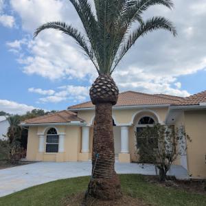 Chris' Complete Lawn Care RMSK