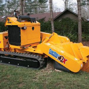 Stump Grinding & Tree Service