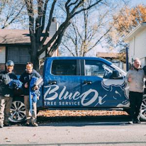 Blue Ox Tree Service