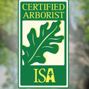 Doyle Bennett Tree Service