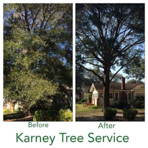Karney Tree Service