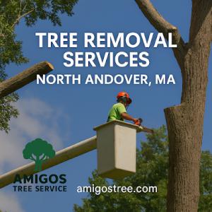 Amigos Landscaping & Tree Removal
