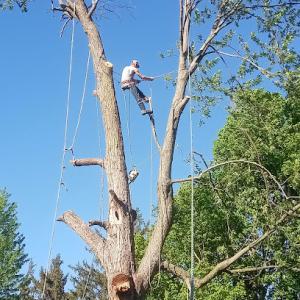 Turner & Sons Construction & Tree Services
