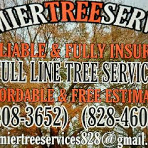 Premier Tree Services