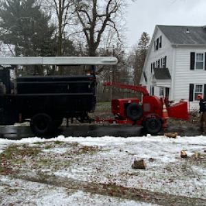 Orloff Tree Service & Excavation