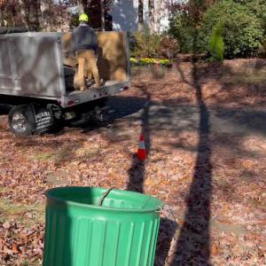N&H Tree Service & Landscaping