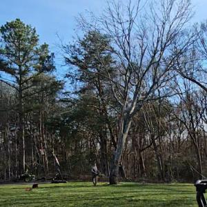 Tri-County Tree Service