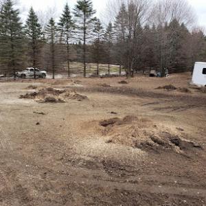 Strike Tree Services