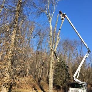 JHM Tree Service