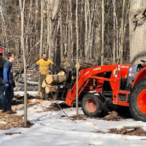 Concord Tree Service