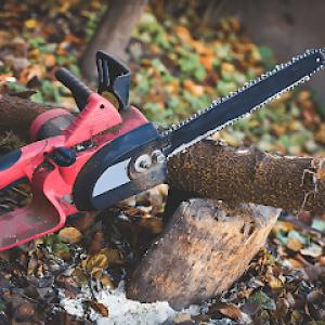 San Rafael Tree Service