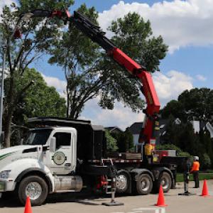 TreeHugger Complete Tree Care