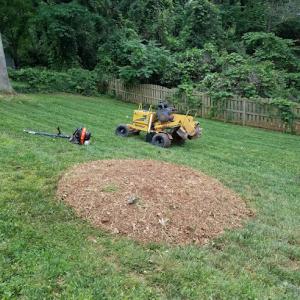 Stanley's Stump Removal
