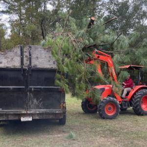 Preservation Solutions