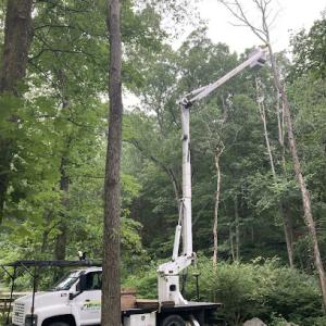 Greenway Tree & Lawn Care