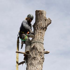 Complete Tree Service