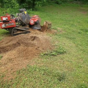 Lee's Stump Grinding