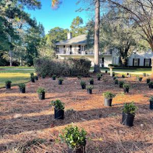 Hill Landscaping Company