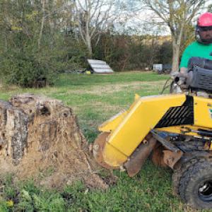 Steven's Stump Grinding