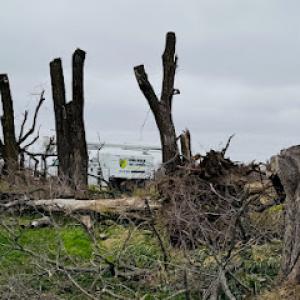 Iowa River Tree Service