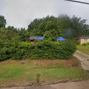 Alexander Tree Services