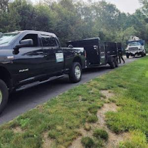 Whaling City Tree Care