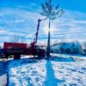 Blessing Tree Service