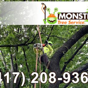 Monster Tree Service of Springfield & Branson