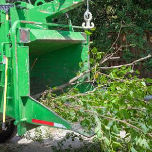Ann Arbor Tree Trimming & Removal Service