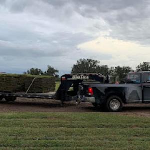 Dc's landscaping & trees service