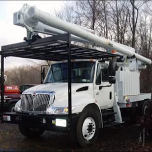 Eager Beaver Tree Service