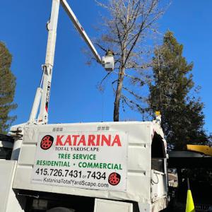 Katarina Total Yardscape