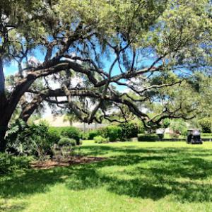 Total Urban Forestry