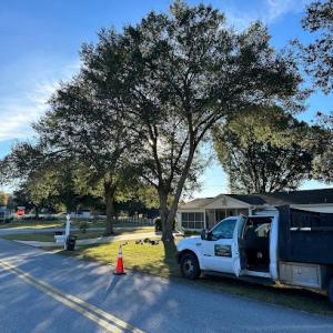 Mr Timber Tree Service