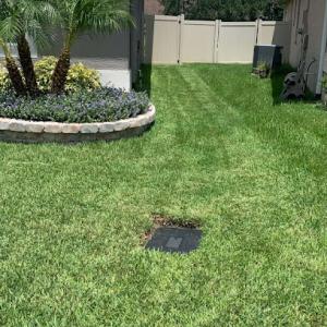 JMS Landscapes & Services